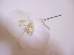 画像1: 胡蝶蘭のヘアパーツ