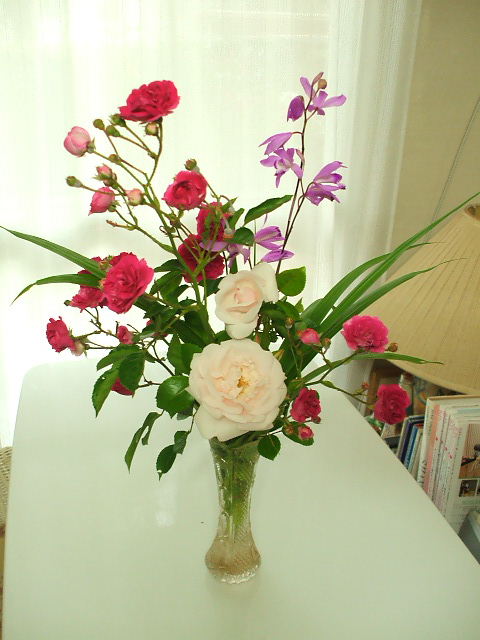 庭の薔薇が満開です。